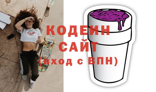 хмурый Алексин
