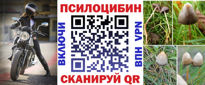 shop наркотические препараты Усть-Лабинск Псилоцибиновые грибы прущие грибы